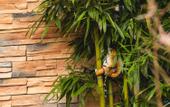 Туры в отель Floral Lux Hotel · Wuyi Mountain Ruyi Garden hotel