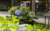 Туры в отель Floral Lux Hotel · Wuyi Mountain Ruyi Garden hotel
