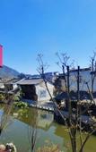 Туры в отель Jiande Man Coral Hot Spring Resort Hotel