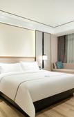 Туры в отель Ousika International Hotel (Dongguan Huangjiang Meitang Subway Station)