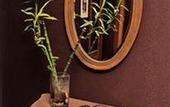 Туры в отель Best Western Plus Nice Cosy Hotel