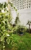 Туры в отель Shankee Coffee Style Hotel (Shaoxing Downtown Area)