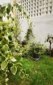 Туры в отель Shankee Coffee Style Hotel (Shaoxing Downtown Area)