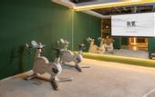 Туры в отель TRUE GO s Hotel (Beijing Tongzhou Dongzhimen Yiyuan Universal Beijing Resort)