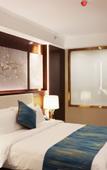 Туры в отель WUHAN JOINTOWN WHITE SWAN ECO HOTEL