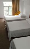 Туры в отель Jincai Hotel