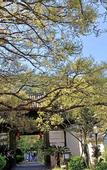 Туры в отель Manju Hotel (Zhoushan Baolong Plaza Children's Park)