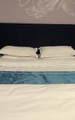Туры в отель Home Inn Bobai Cloud (Haiyang Jinhailuo Plaza)