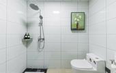 Туры в отель Liya Hotel (Zhengzhou East High-Speed Rail Station)