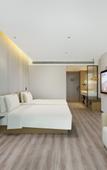 Туры в отель Atour Hotel Xi'an East Silk Road Center