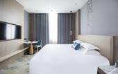 Туры в отель Century Hotel (Shuanglong Avenue Branch)