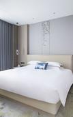 Туры в отель Century Hotel (Shuanglong Avenue Branch)