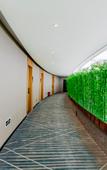 Туры в отель City Comfort Inn Shaorao Wuyuan Culture Plaza Jinguan Bridge