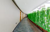 Туры в отель City Comfort Inn Shaorao Wuyuan Culture Plaza Jinguan Bridge
