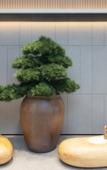 Туры в отель JI Hotel (Suzhou Dushu Lake Ecological Park Dushu Lake South Metro Station)