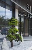 Туры в отель JI Hotel (Suzhou Dushu Lake Ecological Park Dushu Lake South Metro Station)