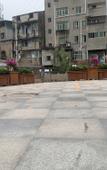 Туры в отель Shankee Coffee Style Hotel (Chengdu Tianfu Guojijichang)