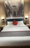 Туры в отель Shankee Coffee Style Hotel (Chengdu Tianfu Guojijichang)