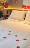 Туры в отель Suide Humanities Hotel (Henan Mechanical and Electrical College)