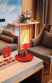 Туры в отель Suide Humanities Hotel (Henan Mechanical and Electrical College)