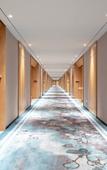 Туры в отель Suide Humanities Hotel (Henan Mechanical and Electrical College)