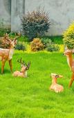 Туры в отель Floral Hotel· Hangzhou Fuju Resort Hotel (Jingshan Huahai Branch)