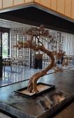 Туры в отель Floral Lux Hotel Qingdao Zangma Courtyard Homestay