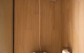 Туры в отель Shimao MiniMax Hotel