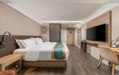 Туры в отель Holiday Plaza Real Madrid (Shenzhen North Railway Station)
