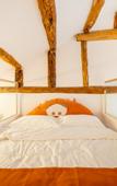 Туры в отель Floral Hotel·Jinxitang Global Resort hotel