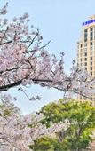 Туры в отель Tianjin Polar Ocean Hotel