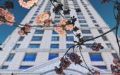 Туры в отель Tianjin Polar Ocean Hotel
