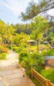 Туры в отель Floral Lux·Peach Bloom Inn