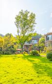 Туры в отель Floral Lux·Peach Bloom Inn
