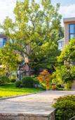 Туры в отель Floral Lux·Peach Bloom Inn