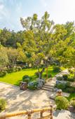 Туры в отель Floral Lux·Peach Bloom Inn