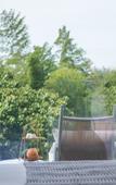 Туры в отель Liyang Lingshushili Homestay (Nanshan Bamboo Sea Branch)
