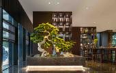 Туры в отель The GiorgioMorandi Hotels (Xuyi Kejie Central Mall)