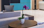 Туры в отель Rezen Hotel Beihai Yintan