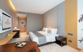 Туры в отель Rezen Dong Hotel (Chengdu University Qinglong Lake Wetland Park)
