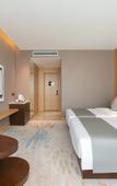 Туры в отель Rezen Dong Hotel (Chengdu University Qinglong Lake Wetland Park)
