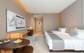 Туры в отель Rezen Dong Hotel (Chengdu University Qinglong Lake Wetland Park)