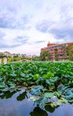 Туры в отель Rezen Dong Hotel (Chengdu University Qinglong Lake Wetland Park)
