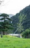 Туры в отель Floral Hotel · Yi Hu Qing Meng Mountain View Villa · Family-Friendly Vacation Courtyard