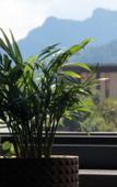 Туры в отель Floral Hotel · Building Ledao Hot Spring hotel
