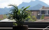 Туры в отель Floral Hotel · Building Ledao Hot Spring hotel
