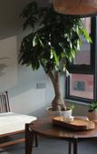 Туры в отель Floral Hotel · Building Ledao Hot Spring hotel