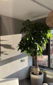 Туры в отель Floral Hotel · Building Ledao Hot Spring hotel