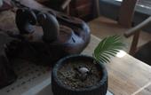 Туры в отель Floral Hotel · Building Ledao Hot Spring hotel