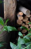 Туры в отель Floral Hotel · Building Ledao Hot Spring hotel